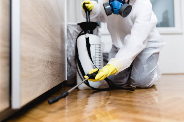 Best Commercial Pest Control Services  in Mount Hermon, VA
