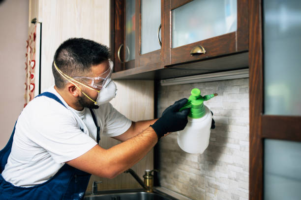  Mount Hermon, VA Pest Control Pros
