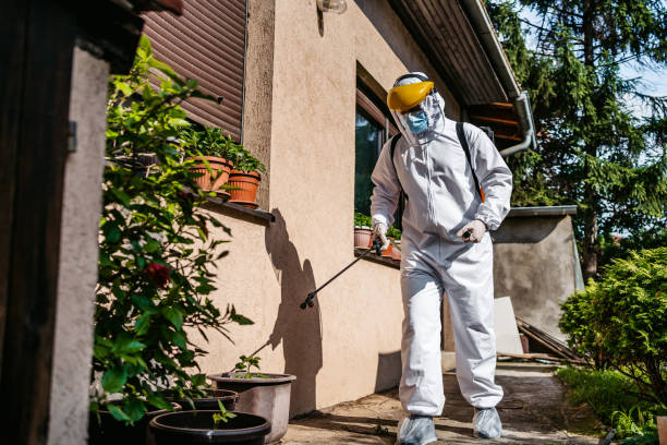 Best Wasp Removal Services  in Mount Hermon, VA