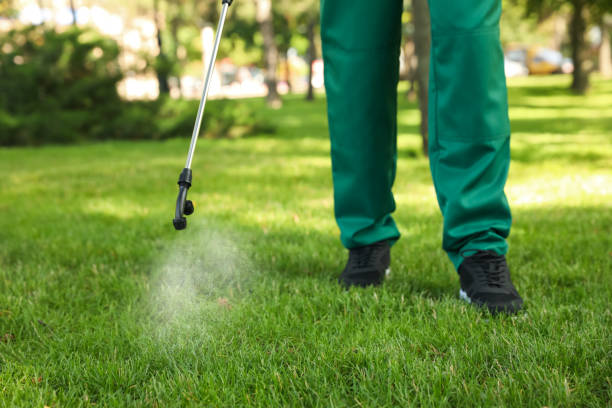 Best Affordable Pest Control Services  in Mount Hermon, VA