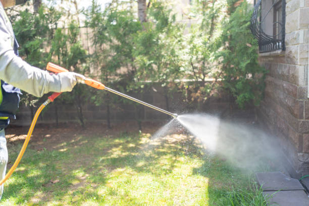 Best Termite Control Services  in Mount Hermon, VA