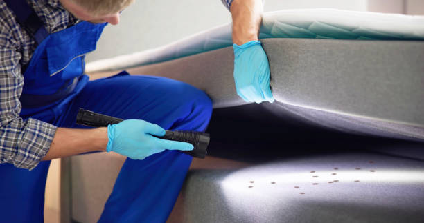 Professional Pest Control in Mount Hermon, VA