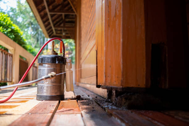 Best Residential Pest Control  in Mount Hermon, VA