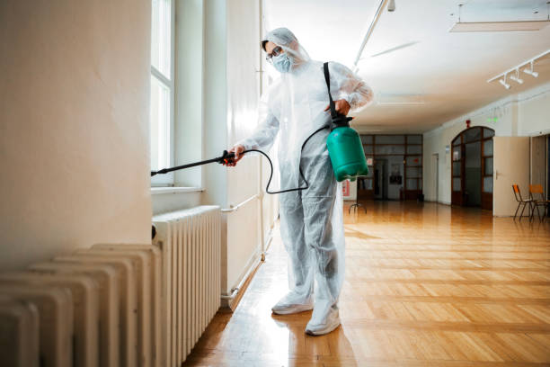 Best Flea Control Services  in Mount Hermon, VA