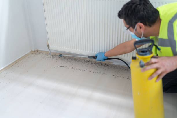 Best Affordable Pest Control Services  in Mount Hermon, VA